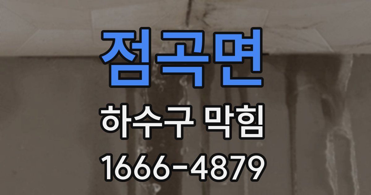 점곡면 하수구 막힘