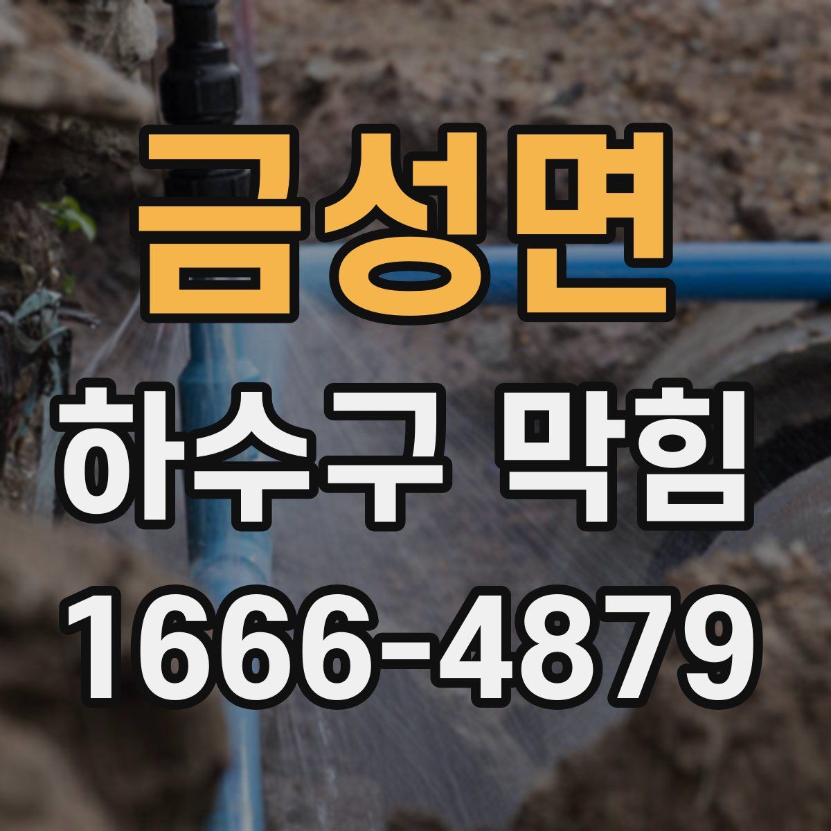 금성면 하수구 막힘
