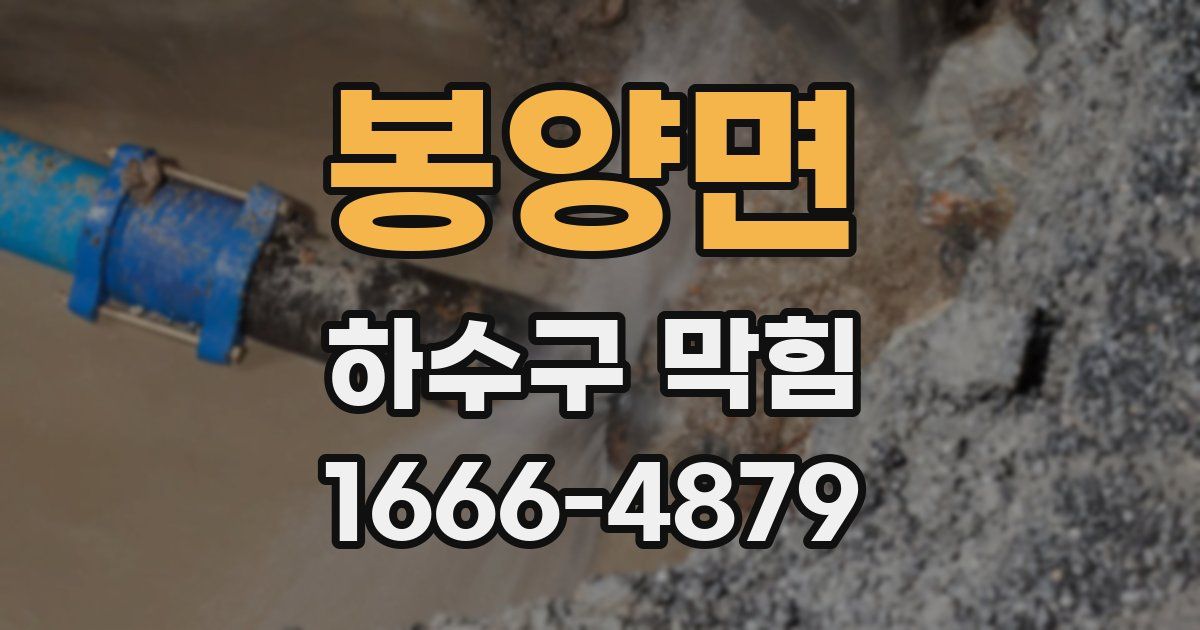 봉양면 하수구 막힘