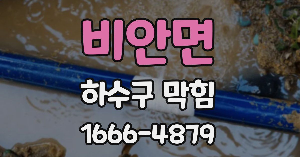 비안면 하수구 막힘