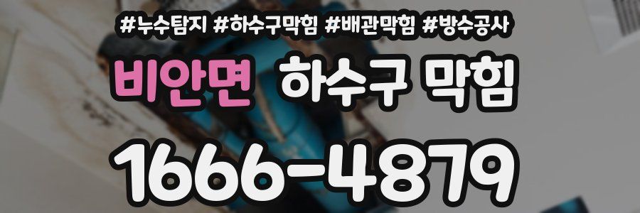 비안면 하수구 막힘