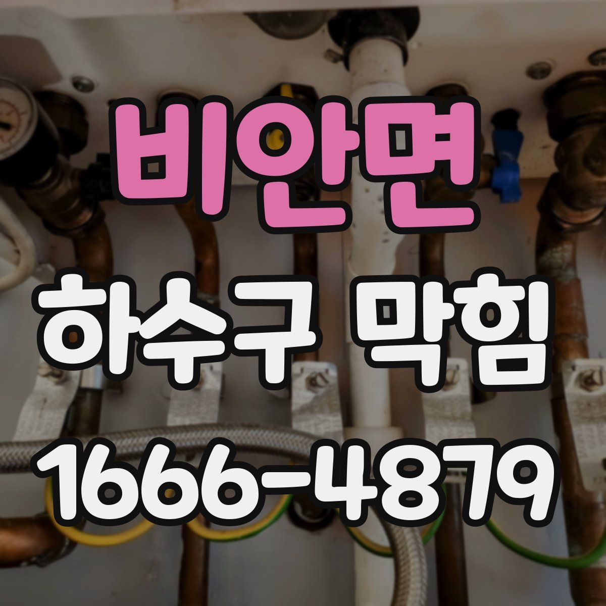 비안면 하수구 막힘