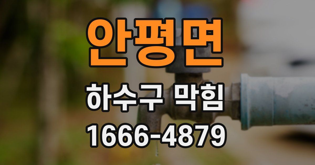 안평면 하수구 막힘