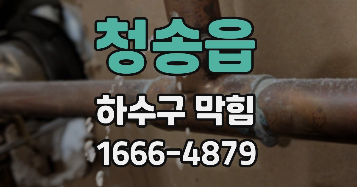 청송읍 하수구 막힘