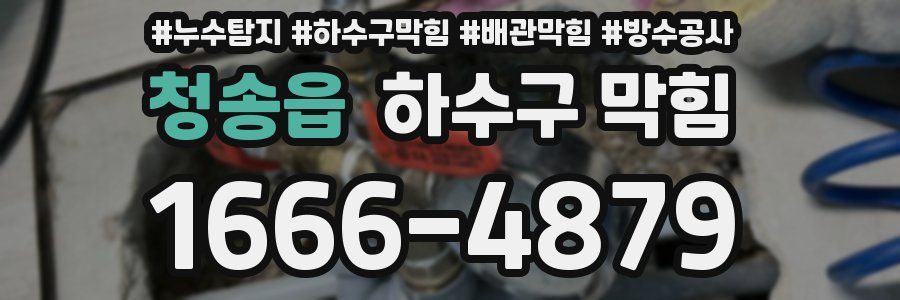 청송읍 하수구 막힘