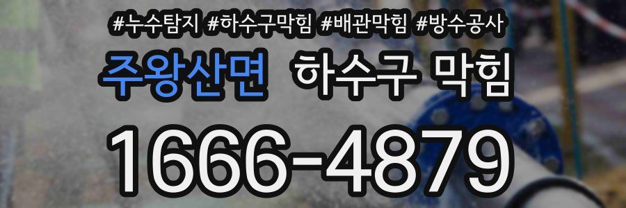 주왕산면 하수구 막힘