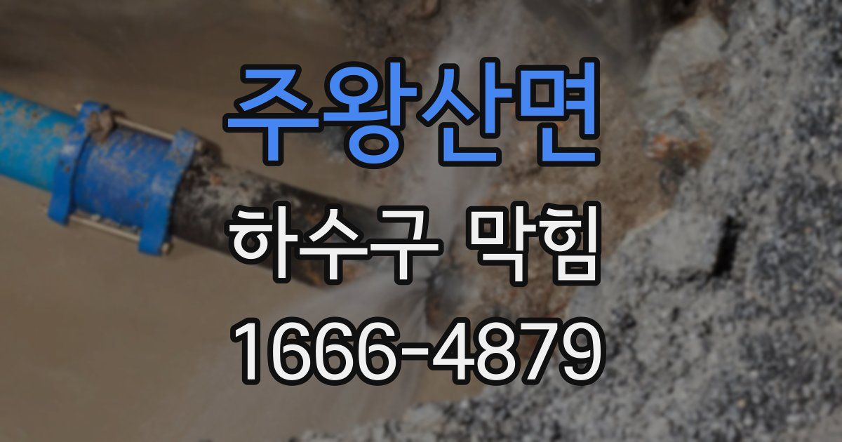 주왕산면 하수구 막힘