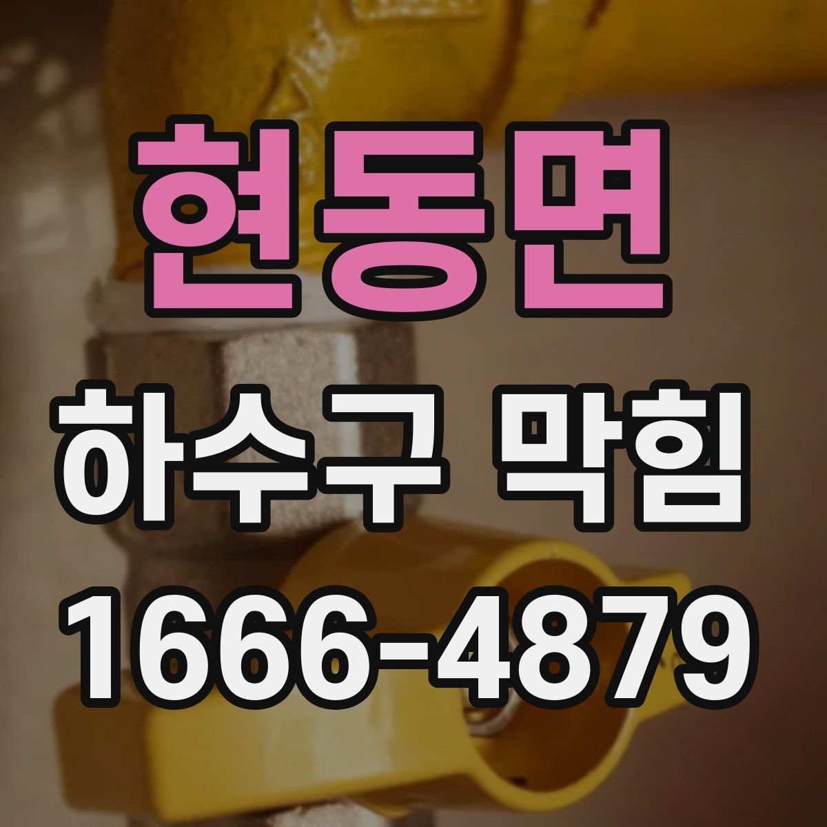 현동면 하수구 막힘