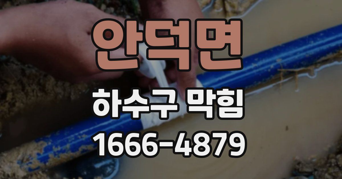 안덕면 하수구 막힘