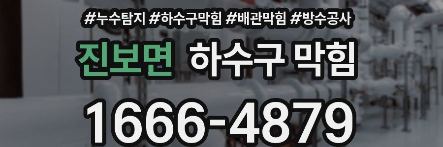 진보면 하수구 막힘
