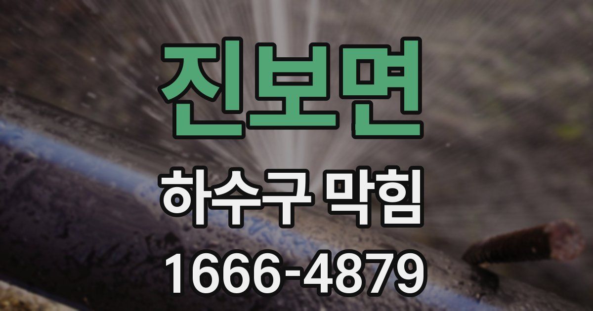 진보면 하수구 막힘