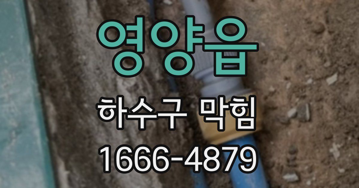 영양읍 하수구 막힘