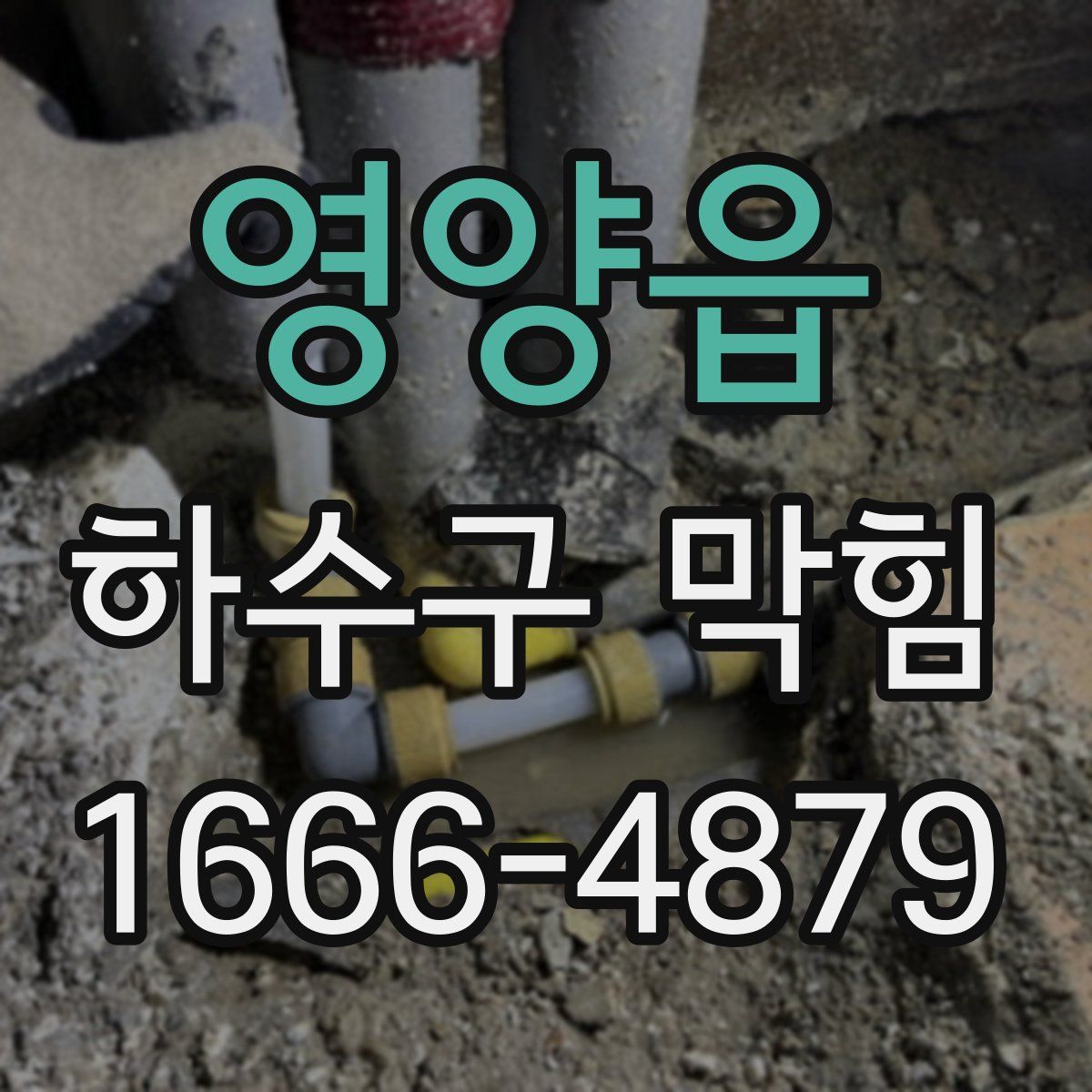 영양읍 하수구 막힘