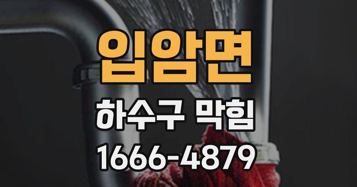 입암면 하수구 막힘