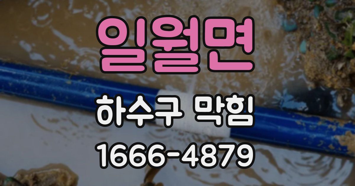 일월면 하수구 막힘
