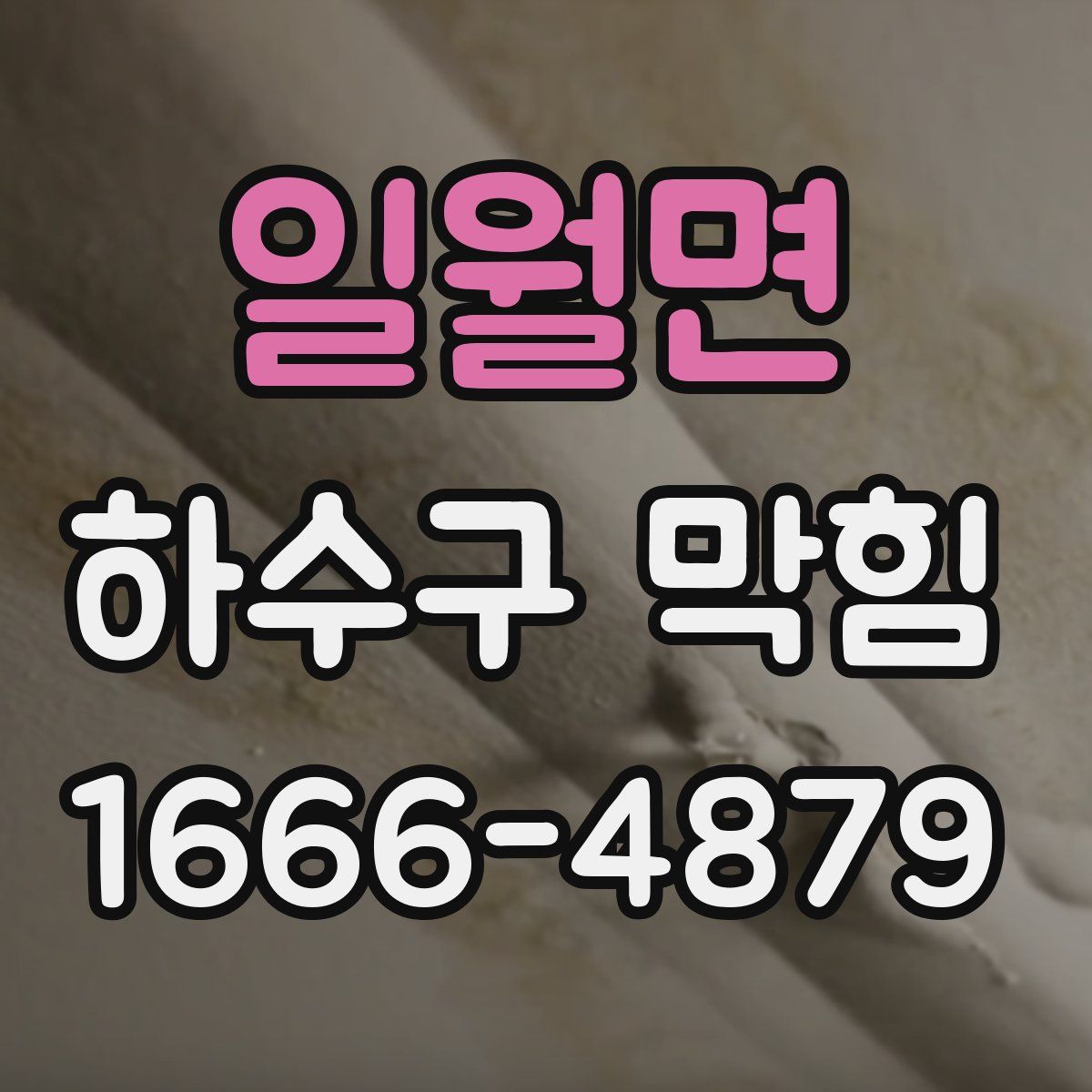일월면 하수구 막힘