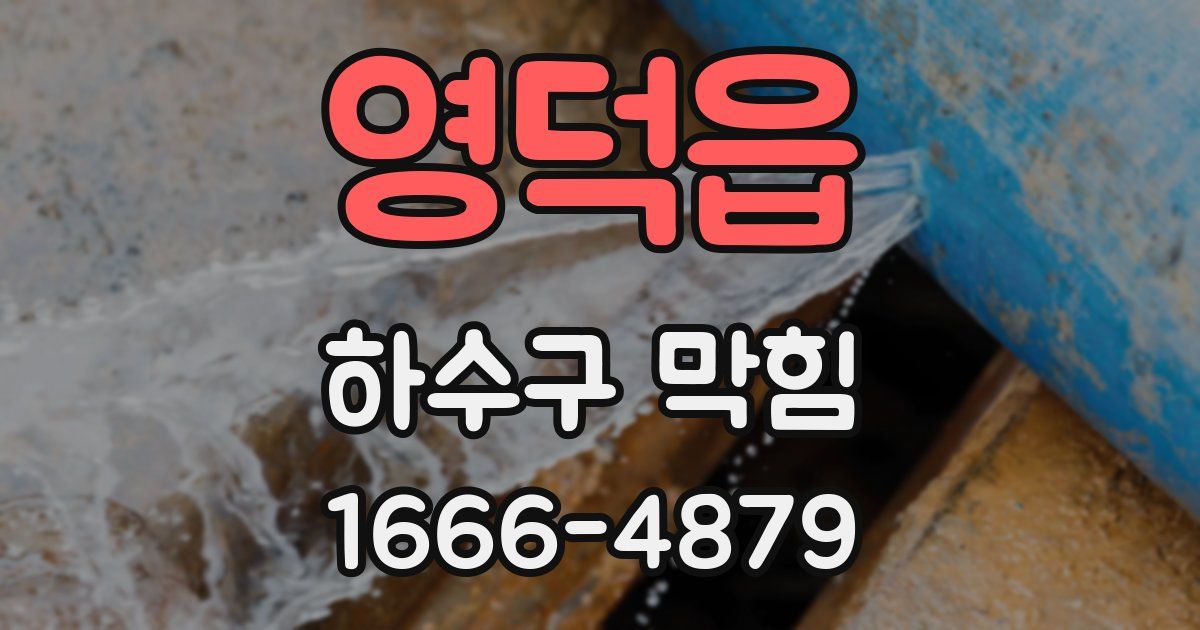 영덕읍 하수구 막힘