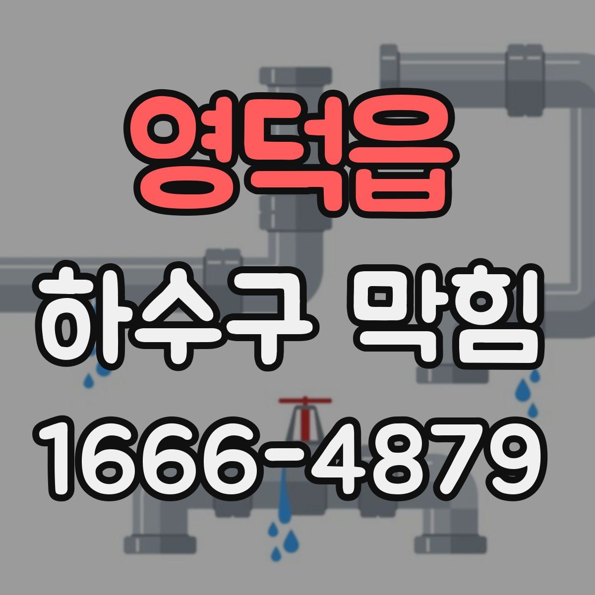 영덕읍 하수구 막힘