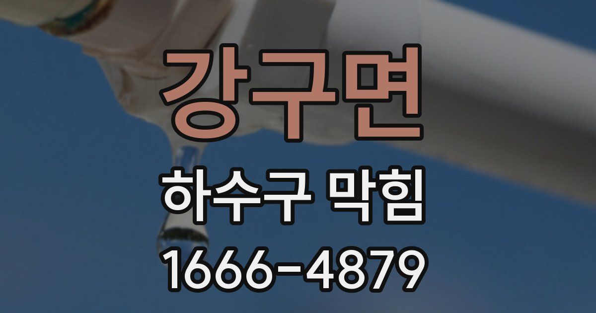강구면 하수구 막힘