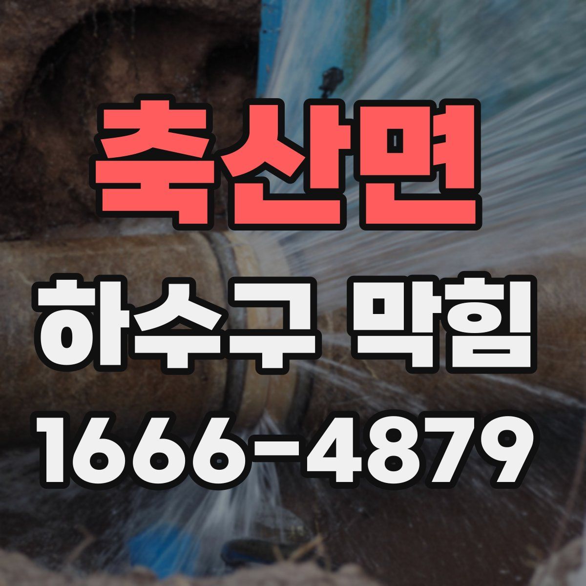 축산면 하수구 막힘