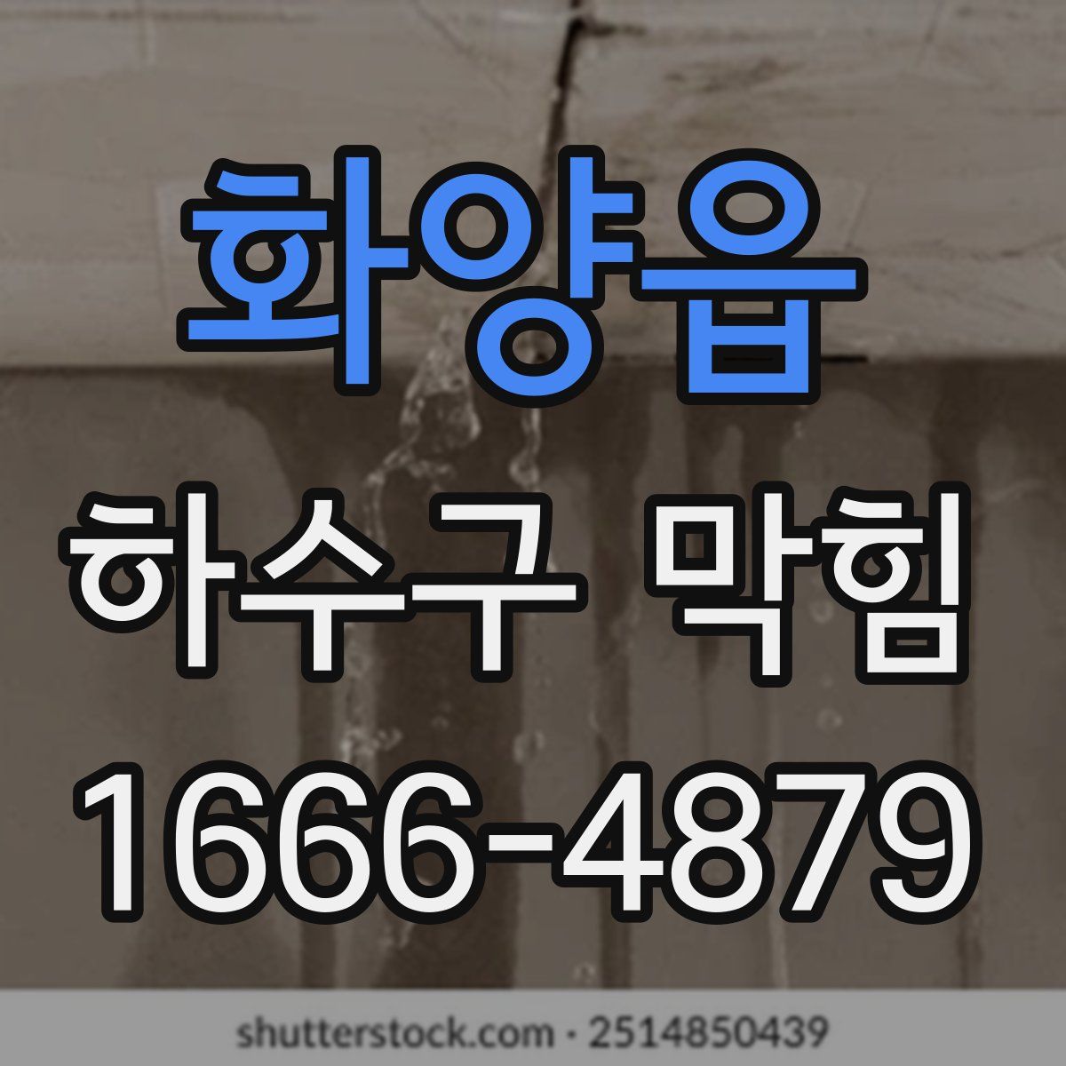 화양읍 하수구 막힘
