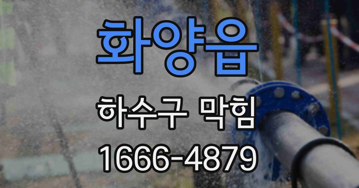 화양읍 하수구 막힘