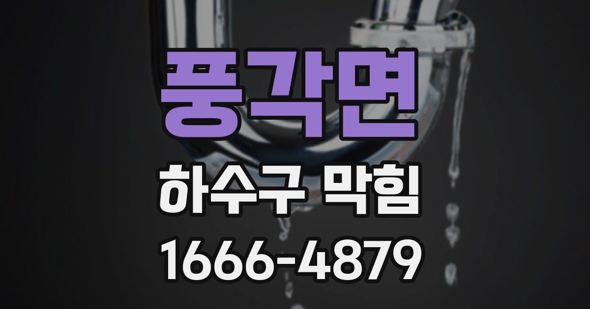 풍각면 하수구 막힘