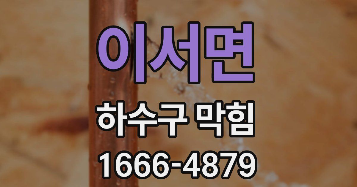 이서면 하수구 막힘