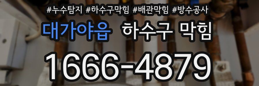 대가야읍 하수구 막힘