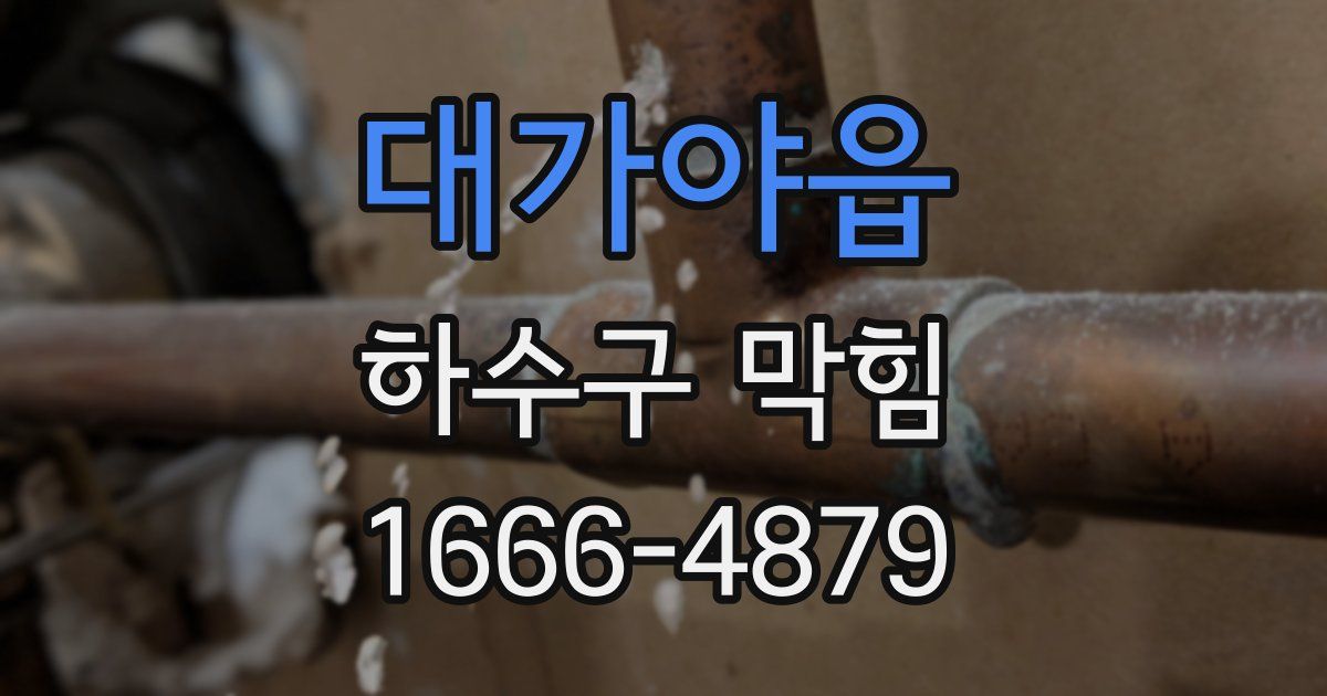 대가야읍 하수구 막힘