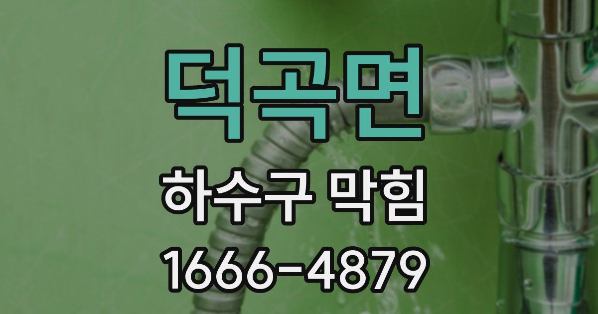 덕곡면 하수구 막힘