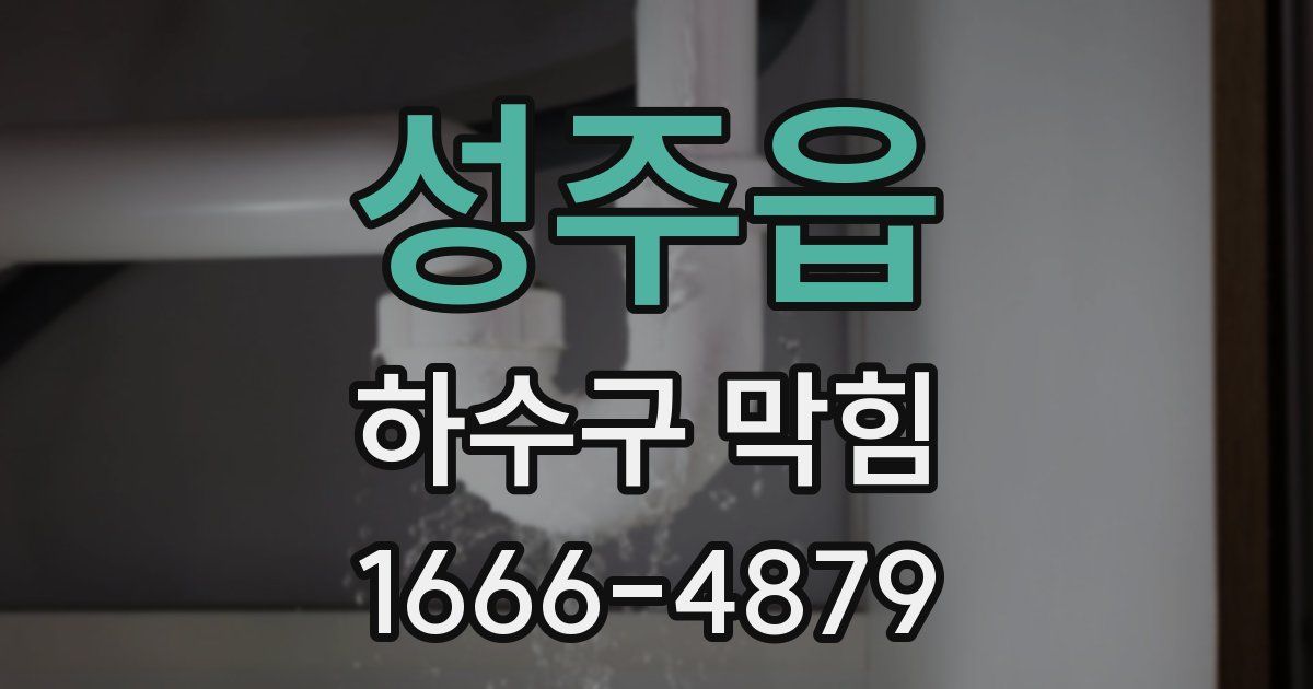 성주읍 하수구 막힘
