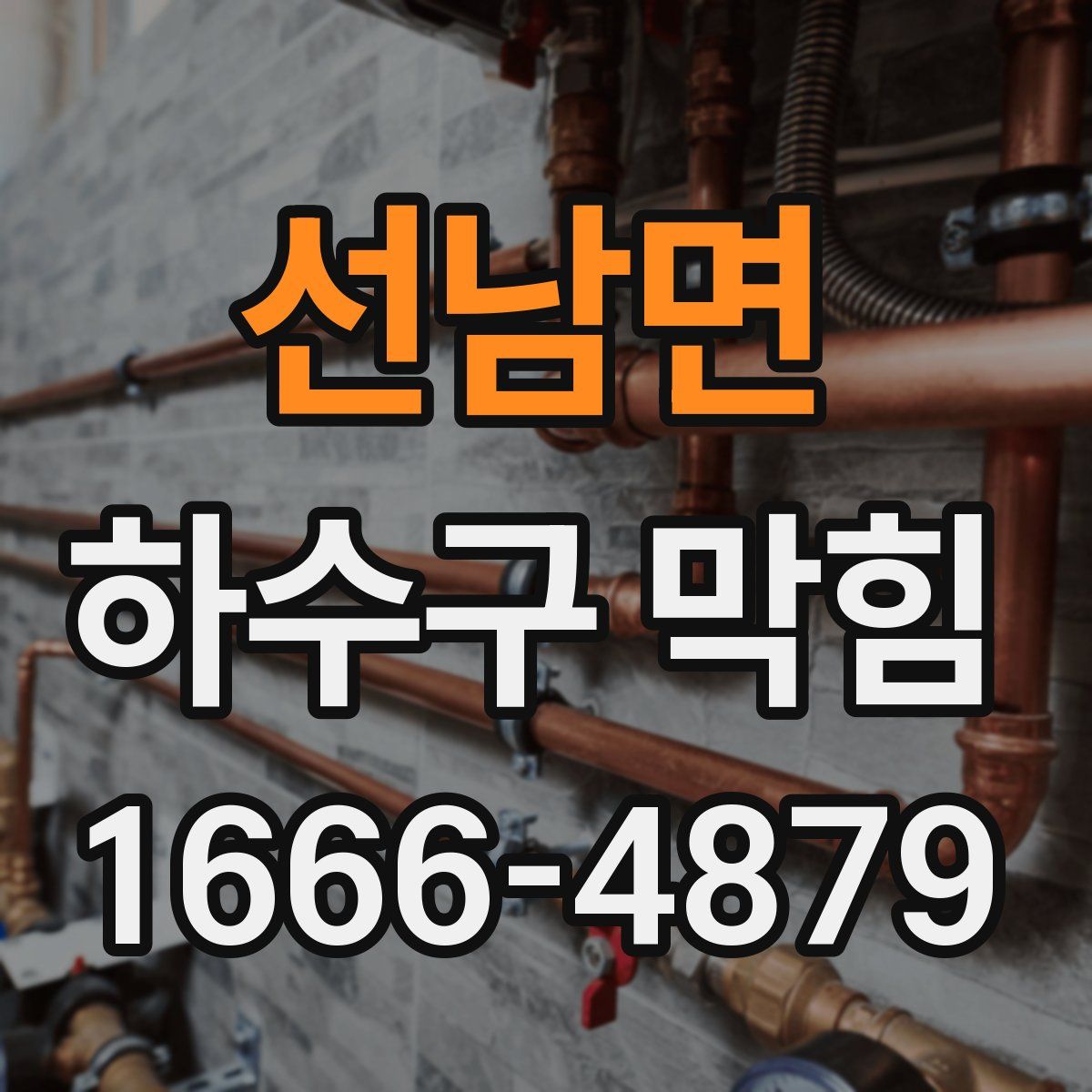 선남면 하수구 막힘