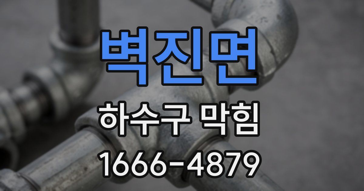 벽진면 하수구 막힘