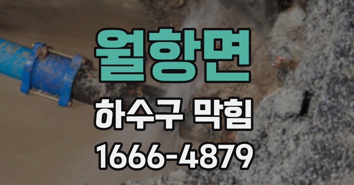 월항면 하수구 막힘