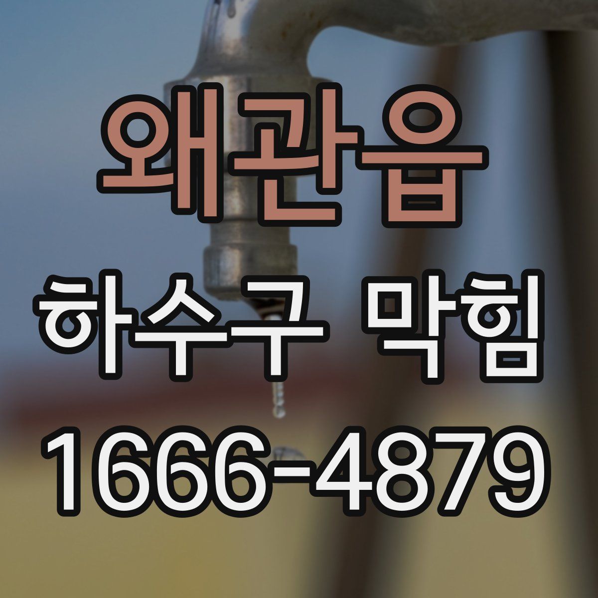 왜관읍 하수구 막힘