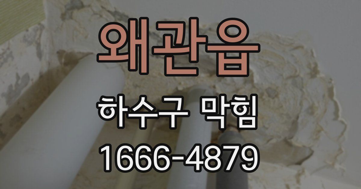 왜관읍 하수구 막힘