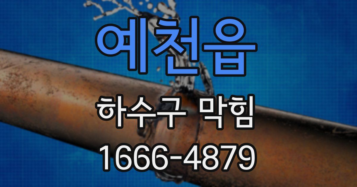 예천읍 하수구 막힘