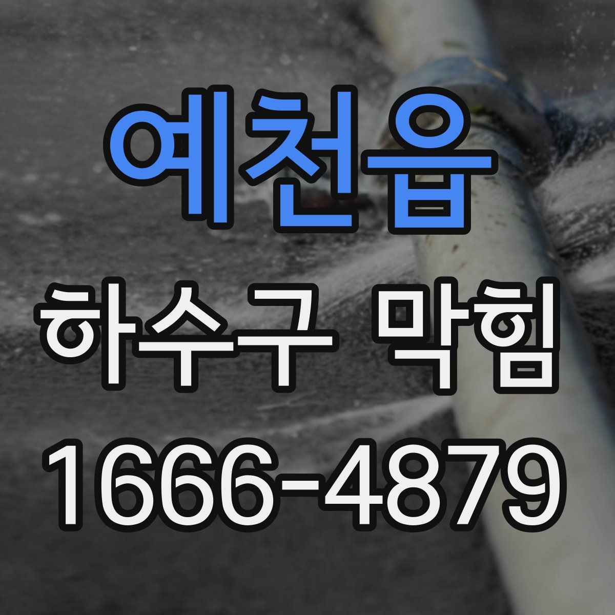 예천읍 하수구 막힘