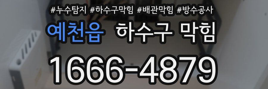 예천읍 하수구 막힘