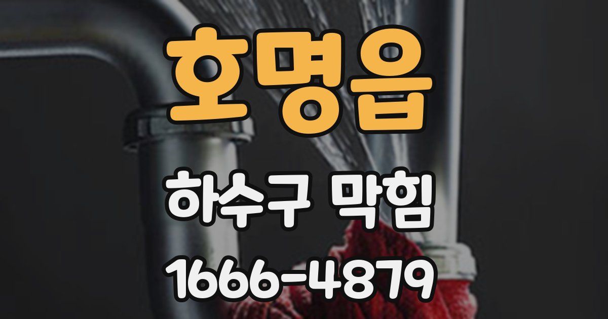 호명읍 하수구 막힘