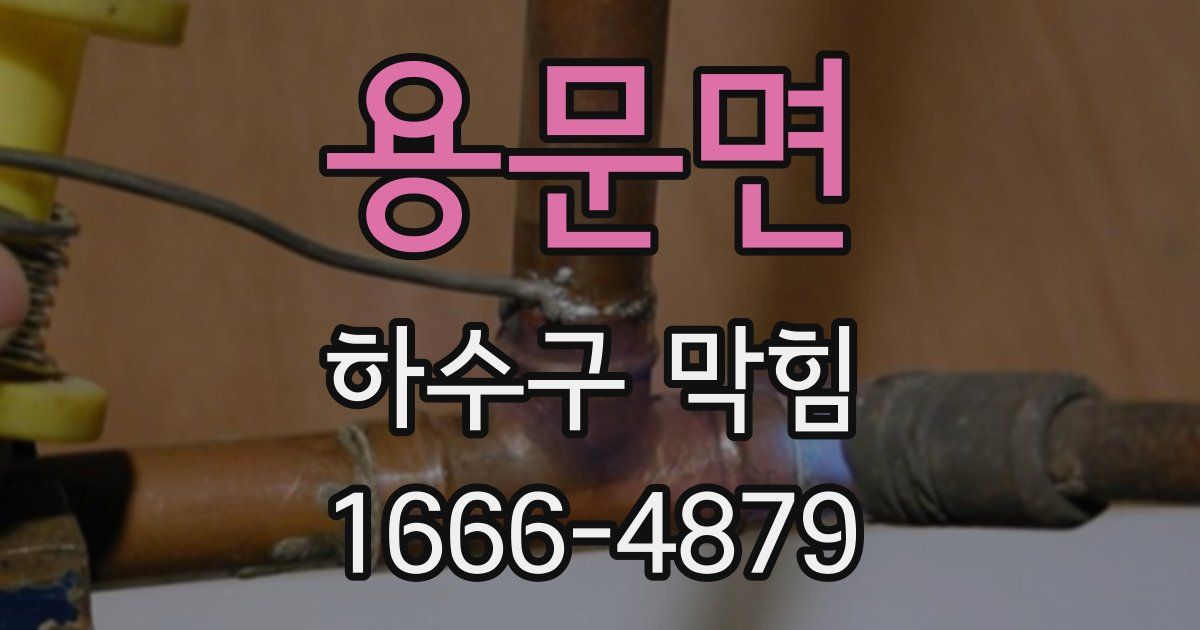 용문면 하수구 막힘