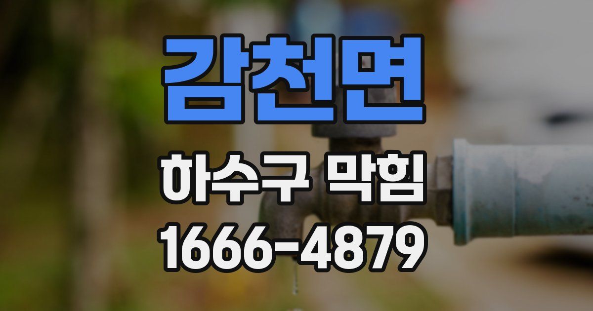 감천면 하수구 막힘