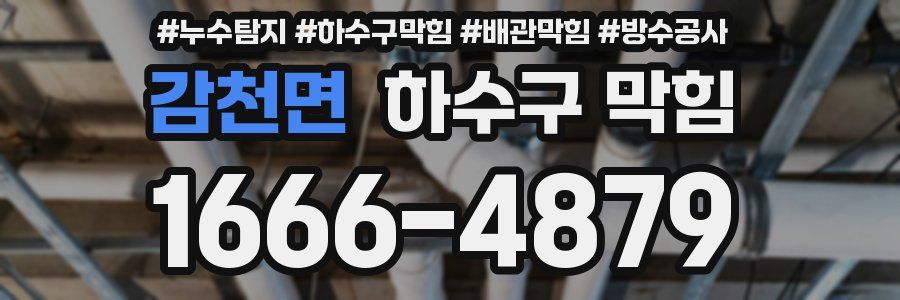 감천면 하수구 막힘