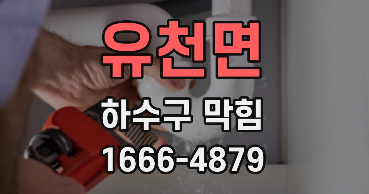 유천면 하수구 막힘