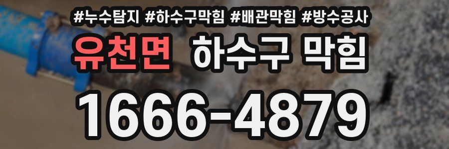 유천면 하수구 막힘