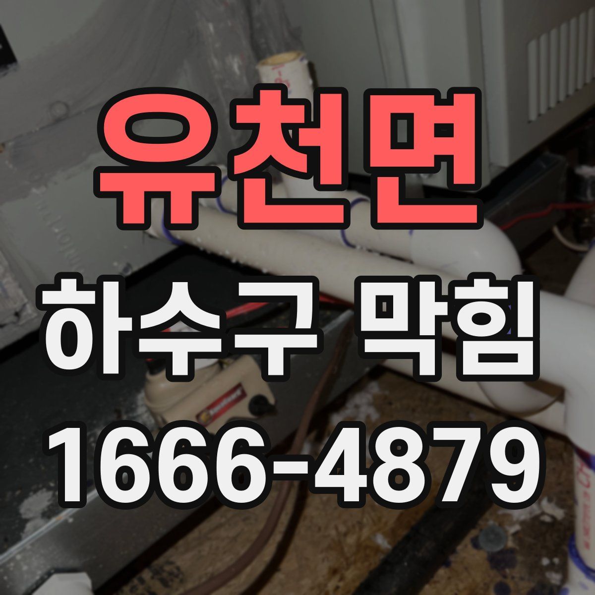 유천면 하수구 막힘