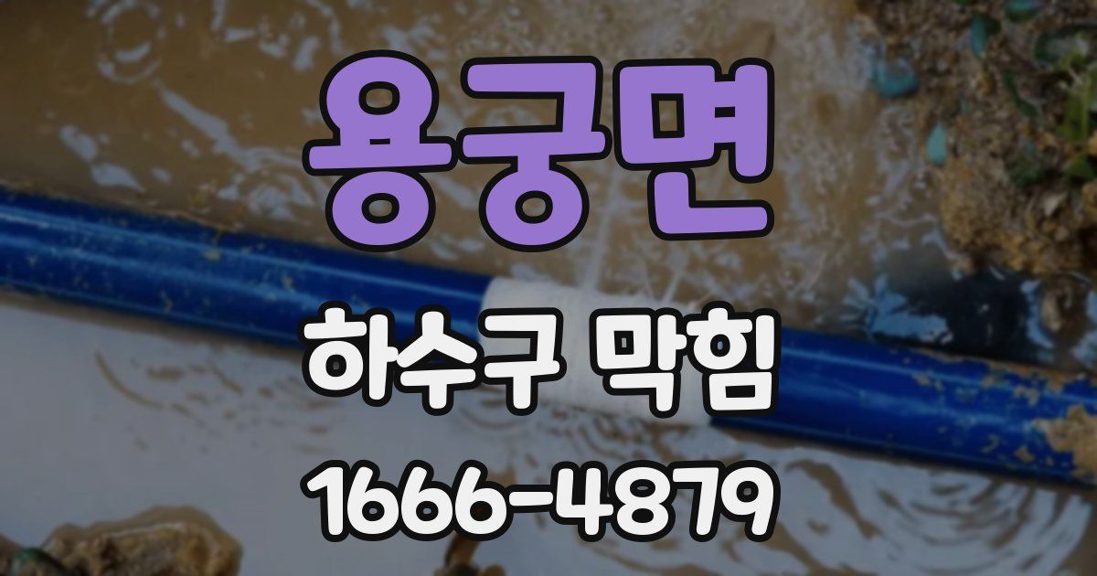 용궁면 하수구 막힘