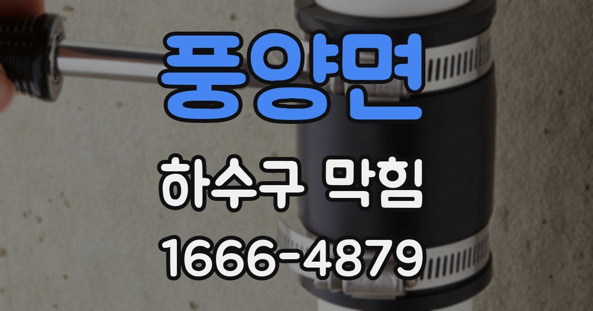풍양면 하수구 막힘