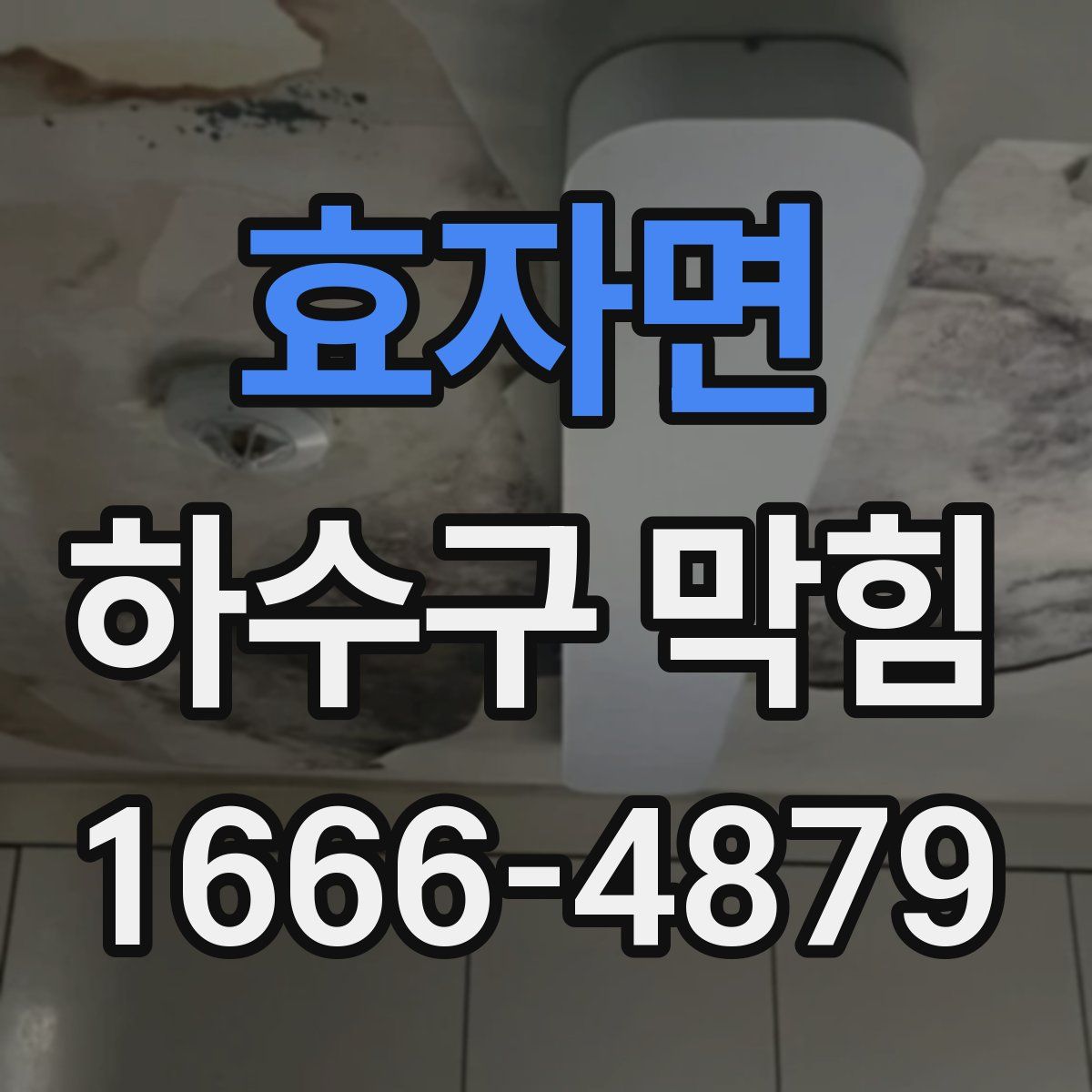 효자면 하수구 막힘